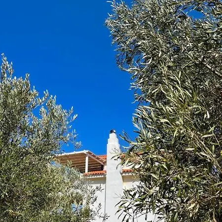 Gorgeous Private Villa For A Greek Island Getaway!